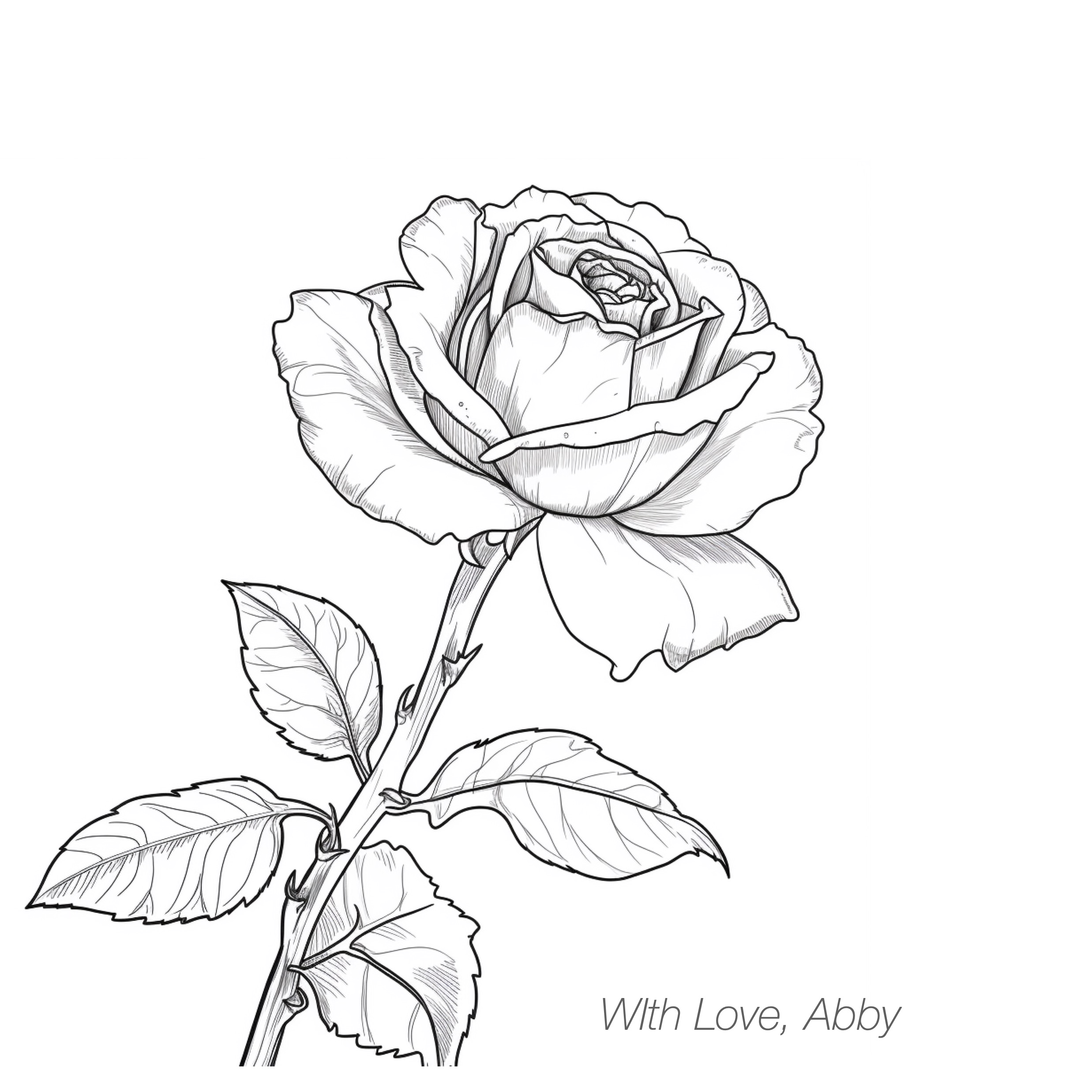 rose
